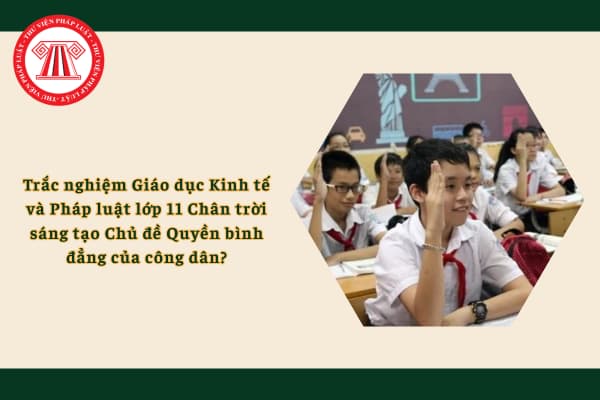 Pháp luật