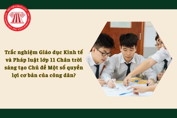 Pháp luật