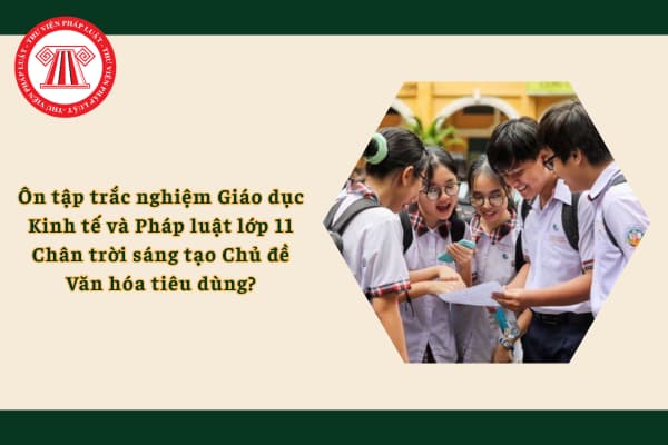 Pháp luật