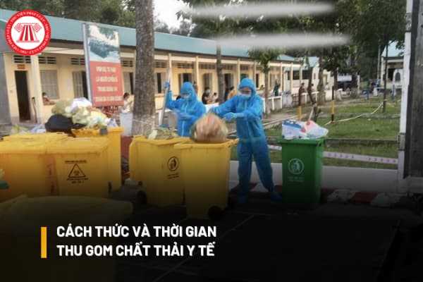 Thu gom chất thải y tế có phải là đem chất thải y tế từ bệnh viện, cơ sở y tế về bãi rác tập trung để xử lý hay không?