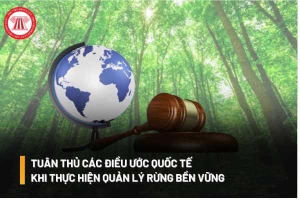 Chủ rừng thực hiện hoạt động quản lý rừng bền vững có cần đảm bảo tuân thủ các quy định trong điều ước quốc tế mà Việt Nam tham gia hay không?