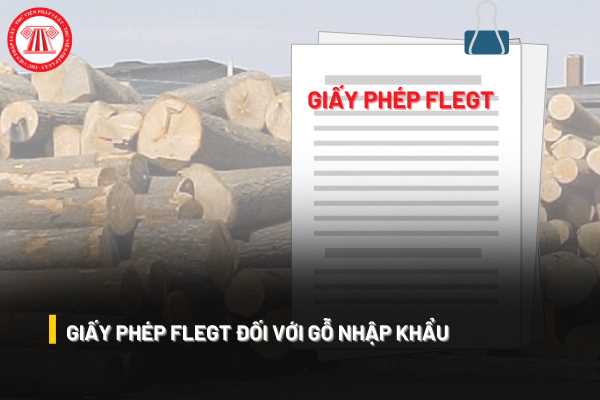 Giấy phép FLEGT đối với gỗ nhập khẩu
