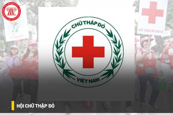 Quỹ hoạt động Hội chữ thập đỏ