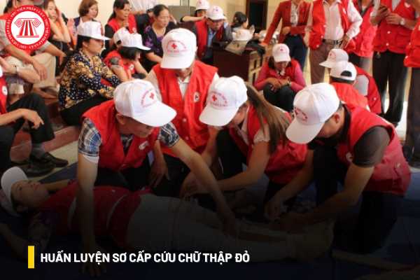 Huấn luyện sơ cấp cứu chữ thập đỏ