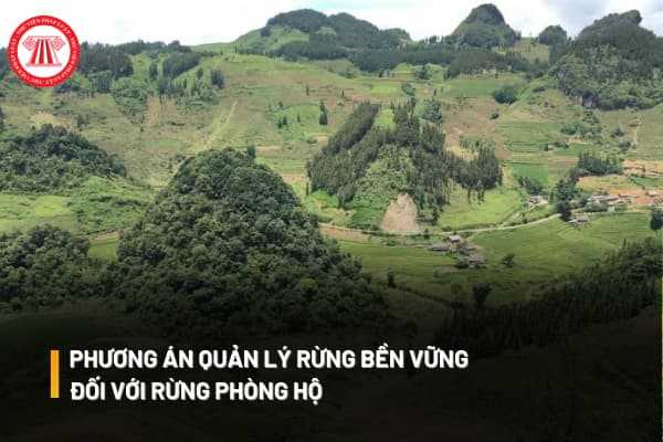 Phương án quản lý rừng bền vững đối với rừng phòng hộ