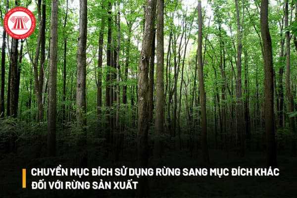 Chuyển mục đích sử dụng rừng sang mục đích khác đối với rừng sản xuất dưới 1000 ha