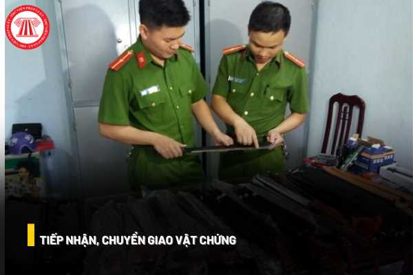 Tiếp nhận, chuyển giao vật chứng