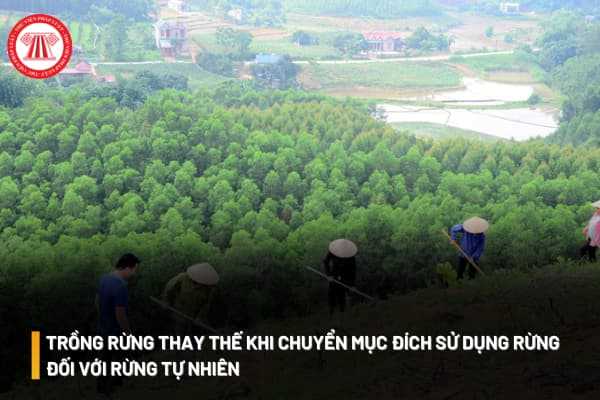 chuyển mục đích sử dụng từ rừng tự nhiên sang mục đích khác