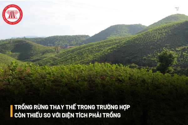 Chủ dự án tự trồng rừng thay thế nhưng còn thiếu so với diện tích phải trồng có thể nhờ tổ chức khác thực hiện không?