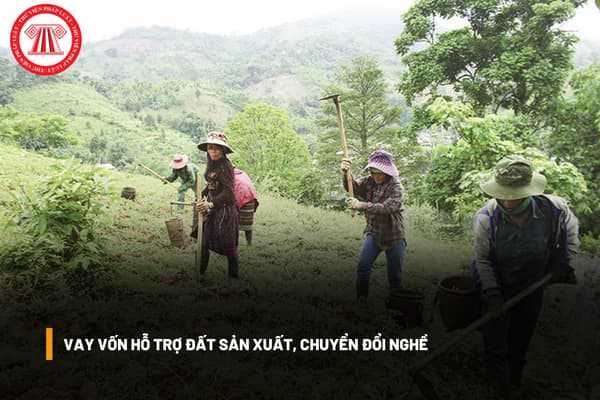 Hộ nghèo dân tộc Kinh cư trú ở vùng đồng bào dân tộc thiểu số được vay vốn hỗ trợ đất sản xuất, chuyển đổi nghề không?