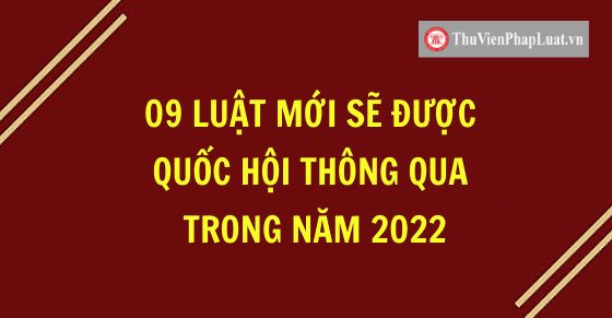 09 Luật mới sẽ được Quốc hội thông qua trong năm 2022