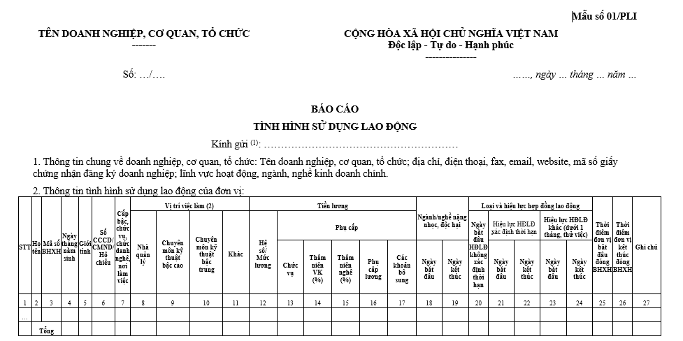 Hướng dẫn điền mẫu báo cáo tình hình sử dụng lao động năm 2022 (Mẫu số 01/PLI) 