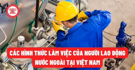 Các hình thức làm việc của người lao động nước ngoài tại Việt Nam