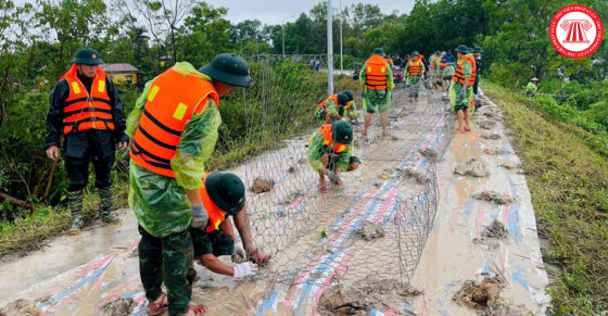 Nghiêm túc thực hiện công tác tuần tra bảo vệ đê điều trên địa bàn Thành phố Hà Nội