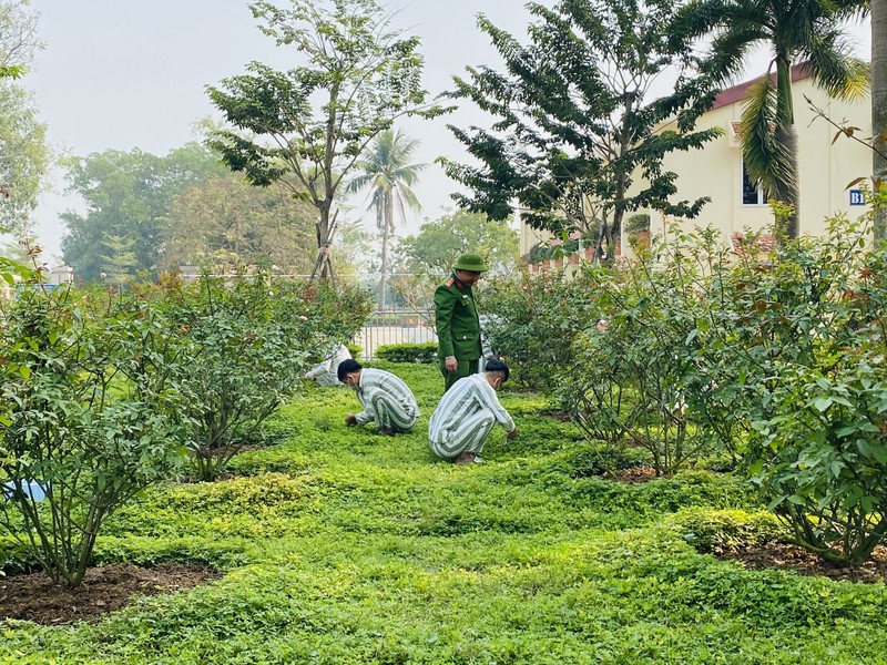 Quy định mới về sử dụng kết quả lao động, học nghề của phạm nhân theo Nghị định 118