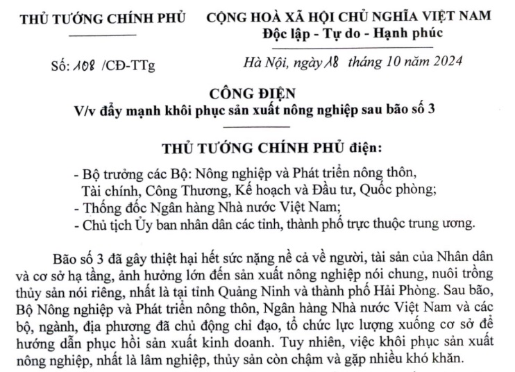 Công điện 108 về đẩy mạnh khôi phục sản xuất nông nghiệp sau bão số 3 (Bão Yagi)