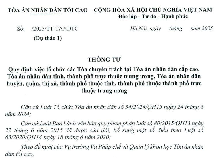 Dự thảo Thông tư về tổ chức các Tòa án chuyên trách tại Tòa án nhân dân các cấp