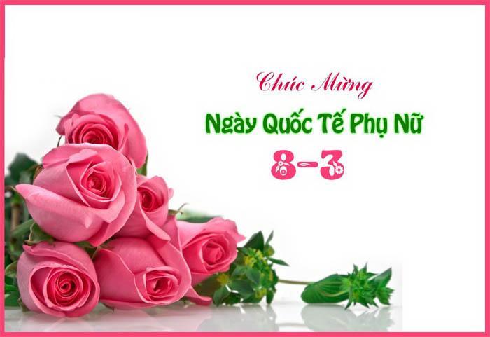 Stt chúc mừng ngày 8/3 ngắn gọn ý nghĩa dành cho mọi đối tượng