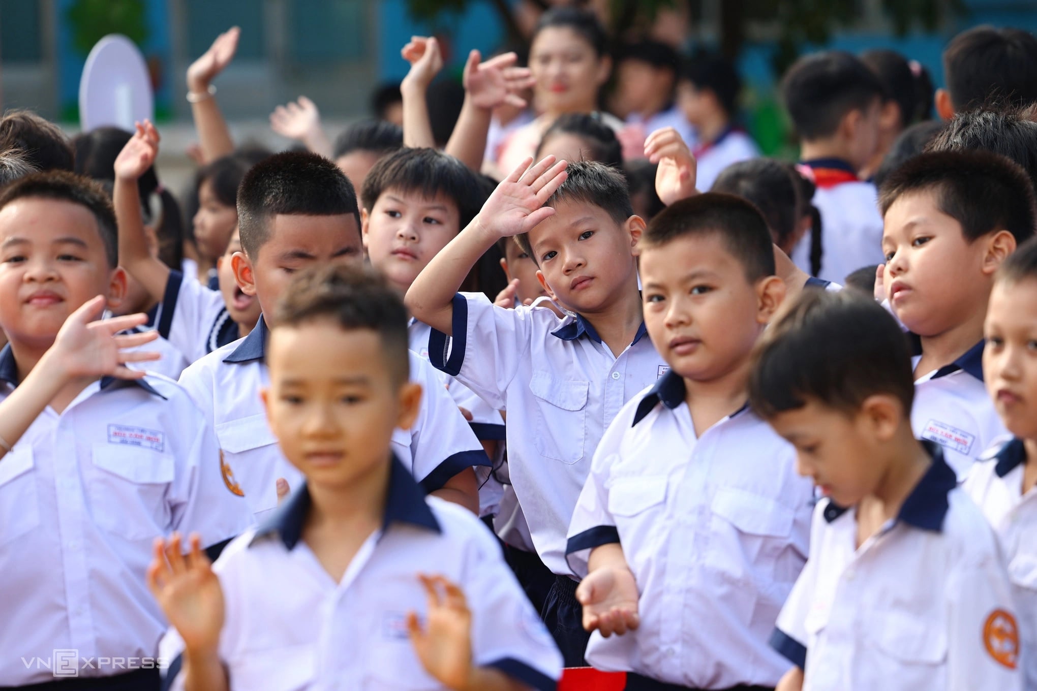 Ở cấp tiểu học, hồ sơ đánh giá từng năm học của mỗi học sinh gồm Học bạ số và Bảng tổng hợp kết quả đánh giá giáo dục của lớp