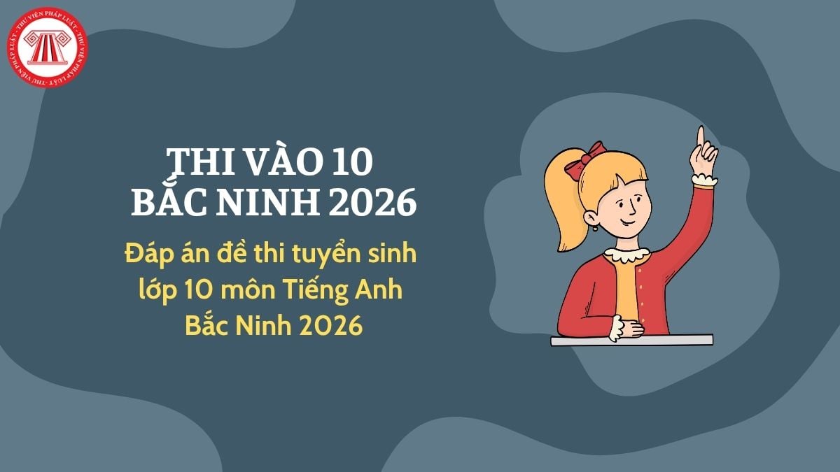 Pháp luật