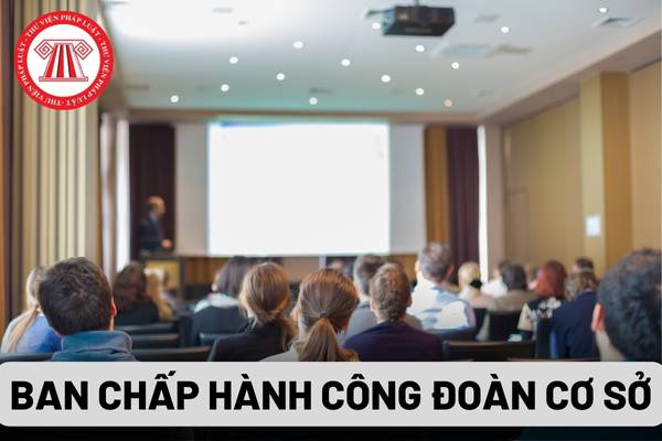 Ban chấp hành công đoàn cơ sở