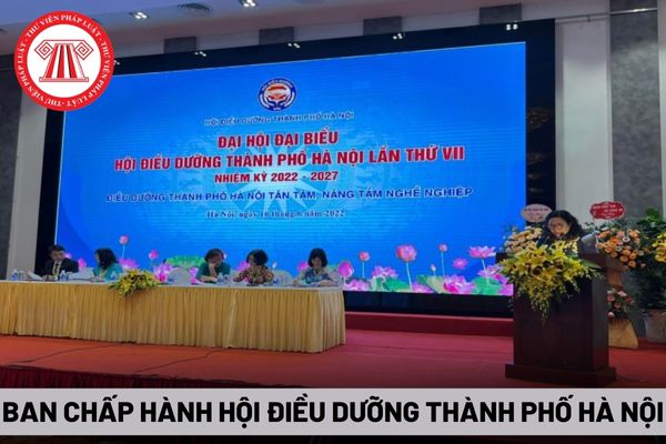 Ban Chấp hành Hội Điều dưỡng thành phố Hà Nội