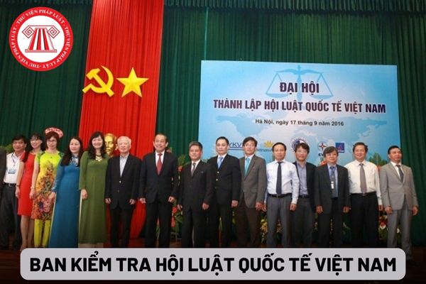 Ban Kiểm tra Hội Luật quốc tế Việt Nam