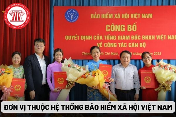 Đơn vị thuộc hệ thống Bảo hiểm xã hội Việt Nam