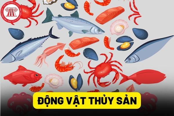 Động vật thủy sản