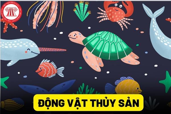 Động vật thủy sản