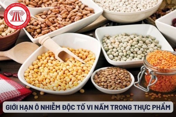 Giới hạn ô nhiễm độc tố vi nấm trong thực phẩm