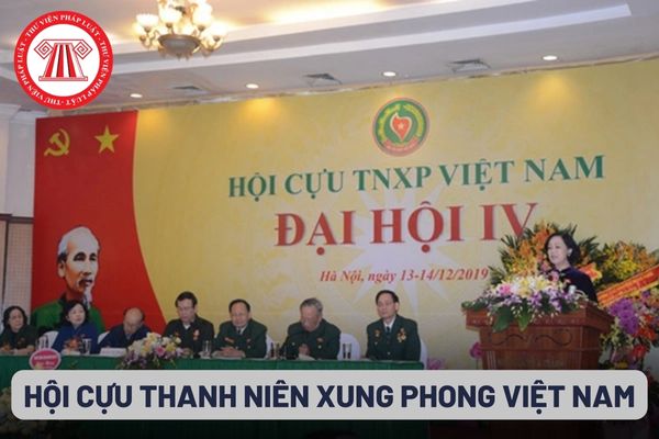 Hội viên cá nhân của Hội Cựu thanh niên xung phong Việt Nam