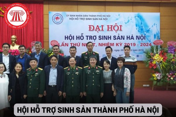 Hội Hỗ trợ sinh sản thành phố Hà Nội