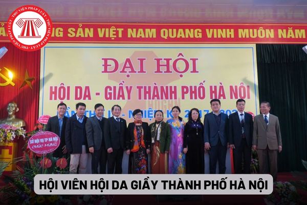 Hội viên Hội Da Giầy thành phố Hà Nội