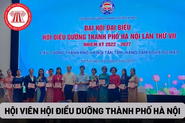 Hội viên Hội Điều dưỡng thành phố Hà Nội