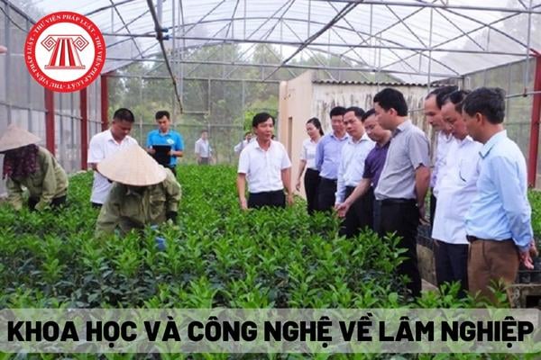 Khoa học và công nghệ về lâm nghiệp