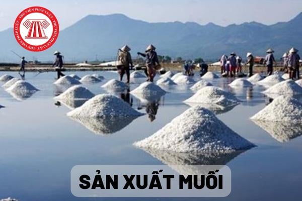 Sản xuất muối 