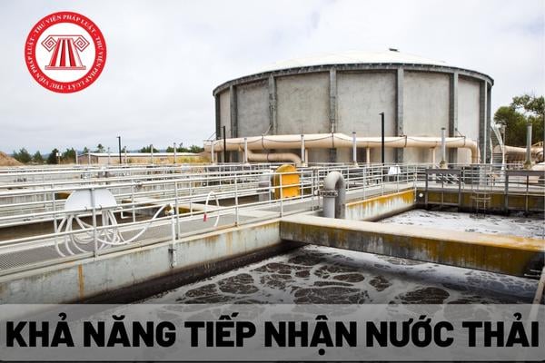 Khả năng tiếp nhận nước thải