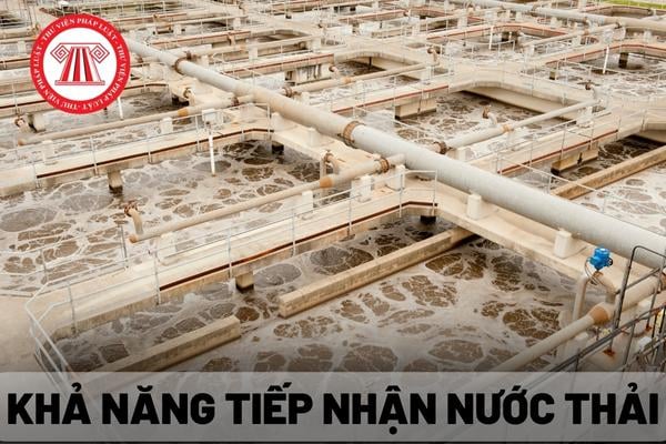 Khả năng tiếp nhận nước thải