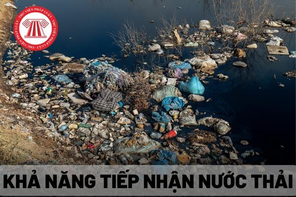 Khả năng tiếp nhận nước thải