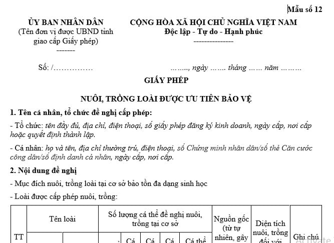 mẫu giấy phép