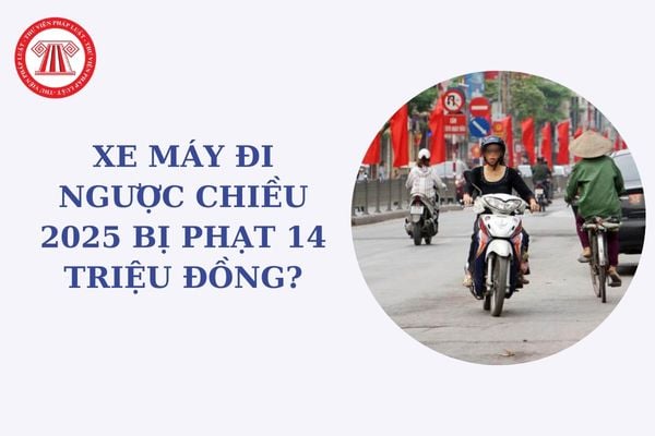 Xe máy đi ngược chiều 2025 bị phạt 14 triệu đồng? Xe máy đi ngược chiều bị trừ bao nhiêu điểm GPLX?