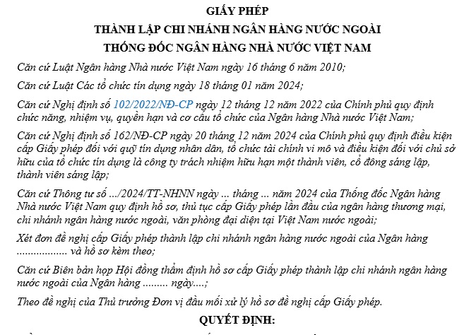 mẫu giấy phép số 1