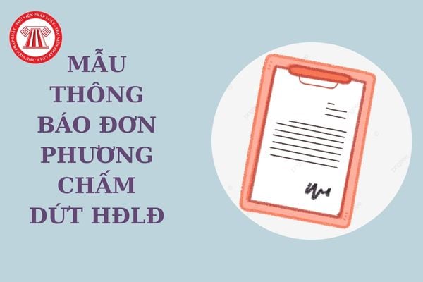 Mẫu thông báo đơn phương chấm dứt hợp đồng lao động dùng chung cho mọi doanh nghiệp? Tải về mẫu thông báo?