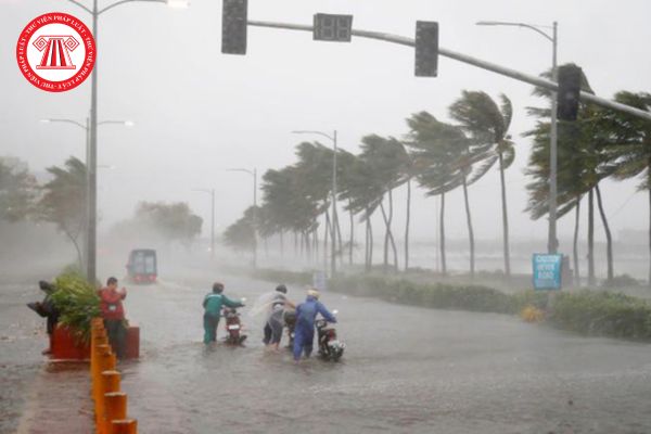 Siêu bão Yagi gây thiệt hại như thế nào? Đề phòng thiệt hại do bão Yagi: Tổng hợp cách chống Siêu bão Yagi?