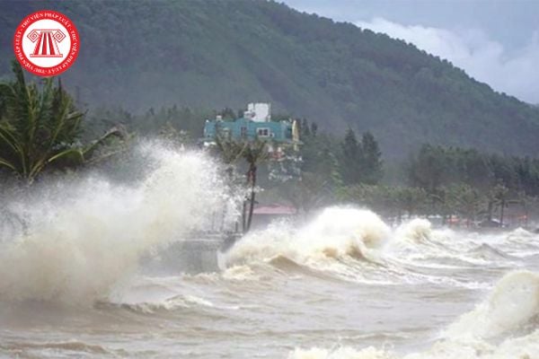 Siêu bão yagi là gì? Thời điểm bão yagi trở thành siêu bão? Siêu bão Yagi có sức gió khủng khiếp như thế nào?