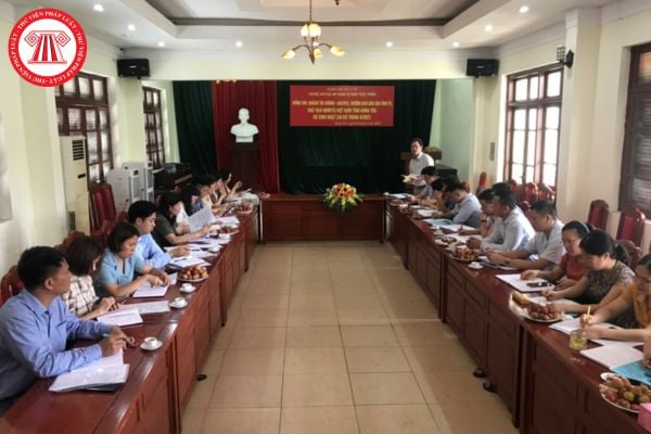 Pháp luật