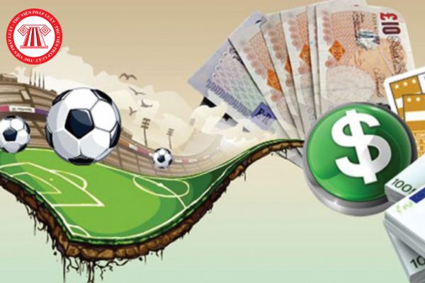Tổ chức đánh bạc bằng hình thức cá độ bóng đá online có tính chất chuyên nghiệp có thể được hưởng án treo hay không?