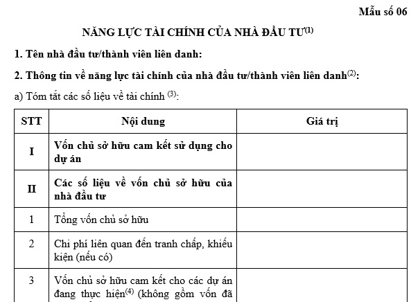 Mẫu năng lực tài chính của nhà đầu tư