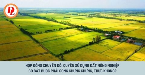 cong-chung-chung-thuc-hop-dong